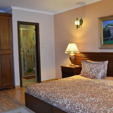 Отель Boutique Boris Palace & Restaurant