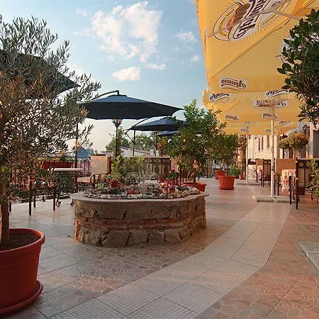 Boutique Boris Palace & Restaurant Отель 4*